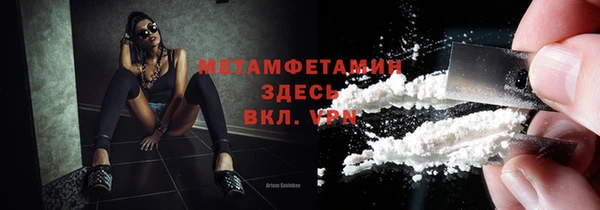 трава Аркадак