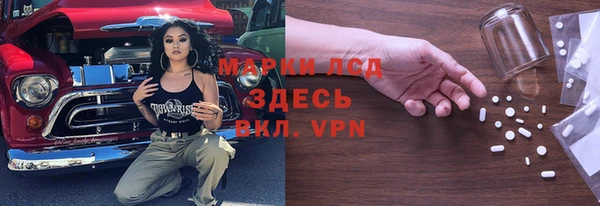 трава Аркадак