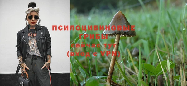 меф Армянск