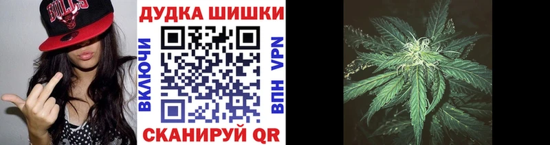 Бошки Шишки семена  Купить закладки  Дно 
